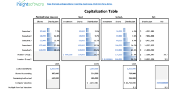 Capitalization Table Report