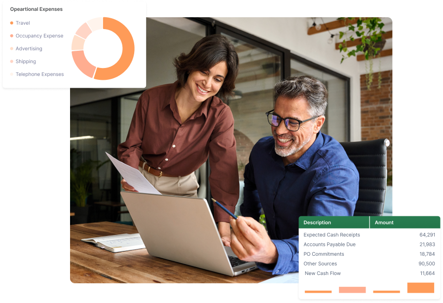 Img Erp Reporting Use