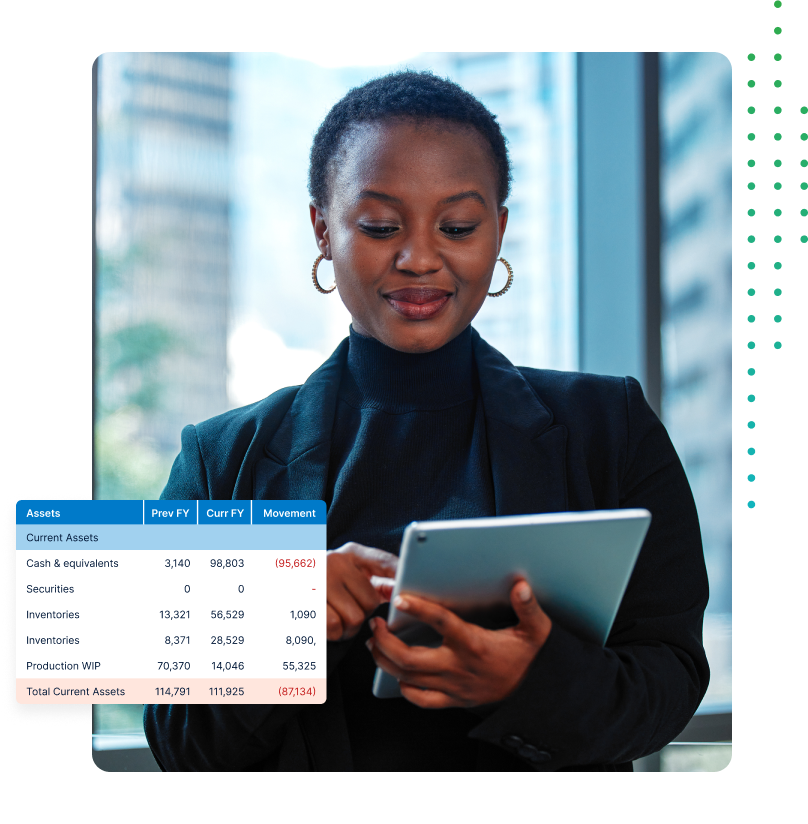 Img Role Vp Director Of Finance