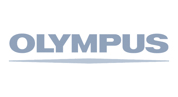 Logo Gray Olympus
