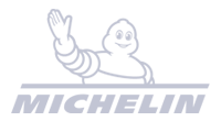 Michelin 200x110