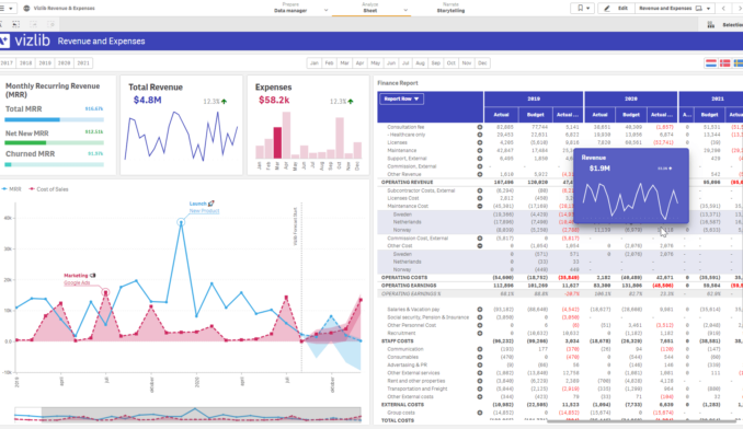 Vizlib Revexpenses 1